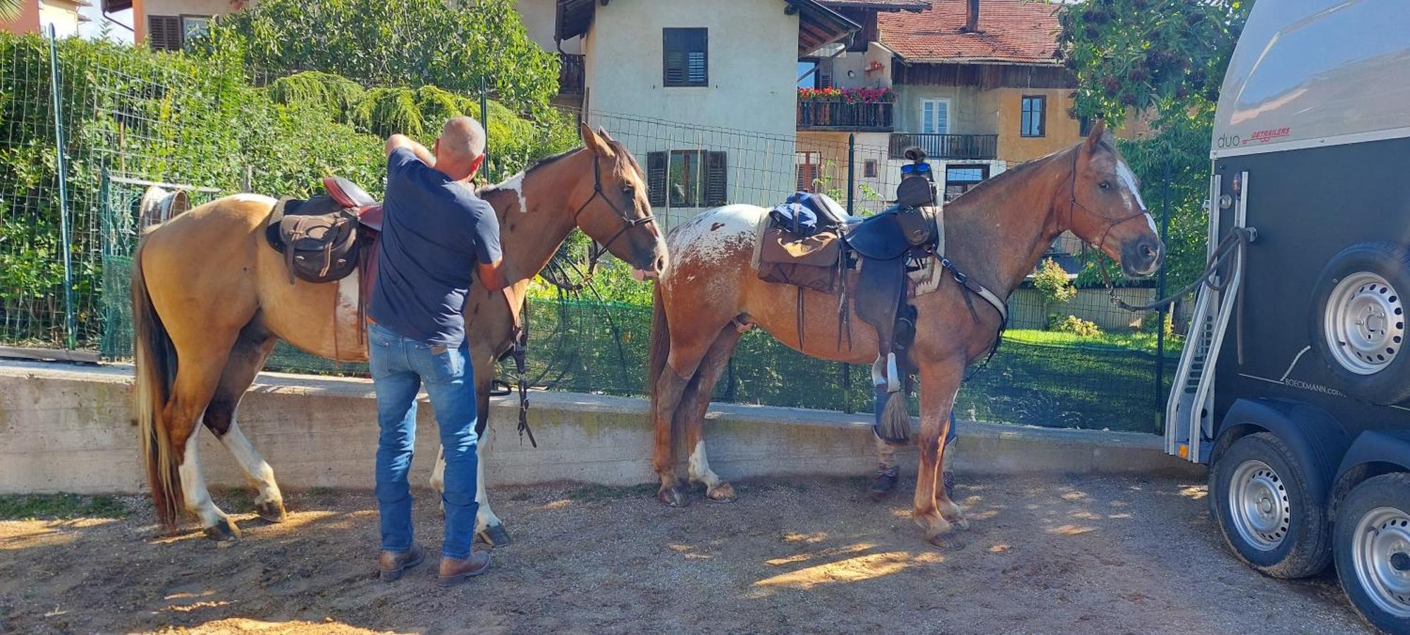 Horse House Bed and Breakfast Romallo Exteriör bild
