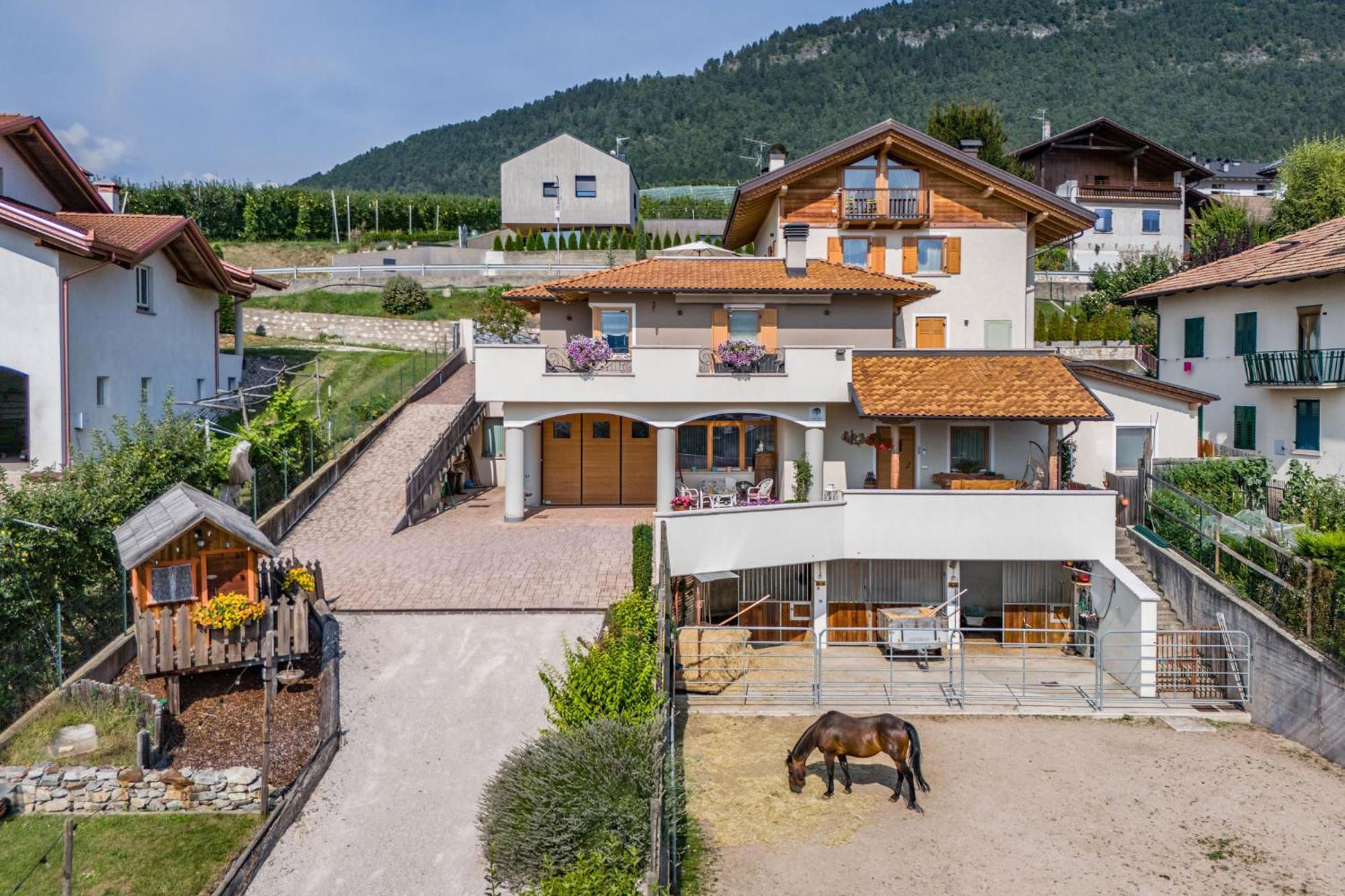 Horse House Bed and Breakfast Romallo Exteriör bild